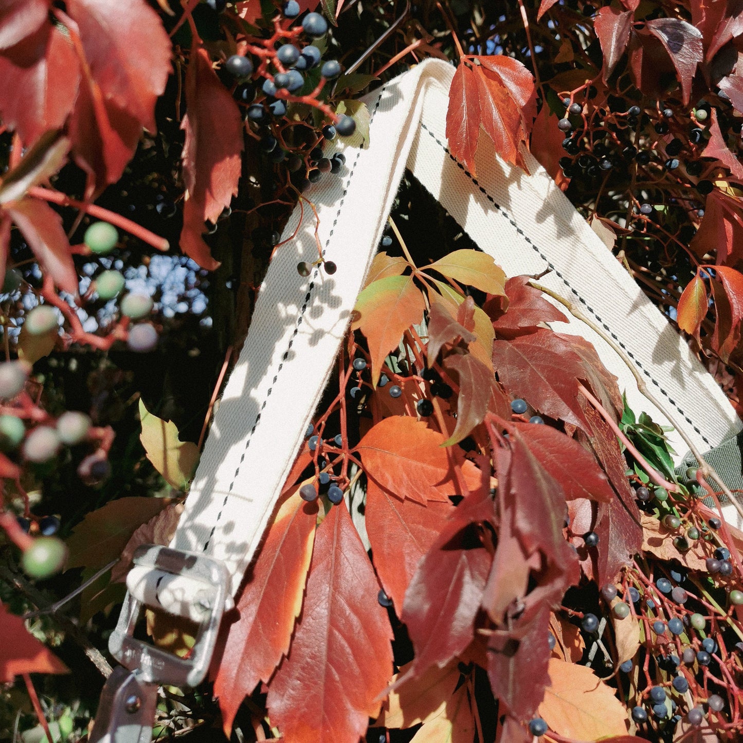 M-0134 Messenger Bag in Mitchell pattern - II/II - Wine Leaf